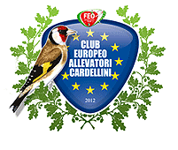 logo club cardellino